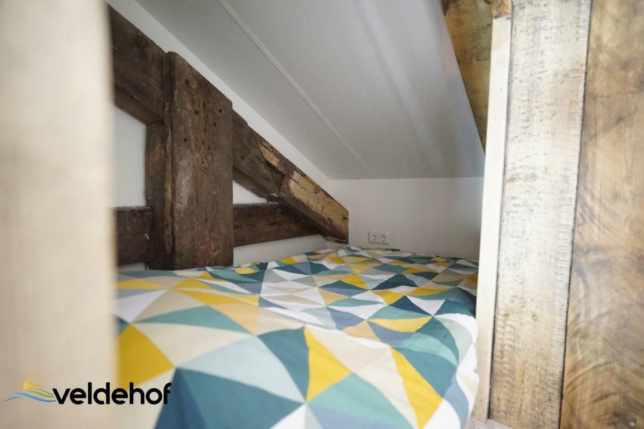 'T Veldehof Villa Domburg Dış mekan fotoğraf